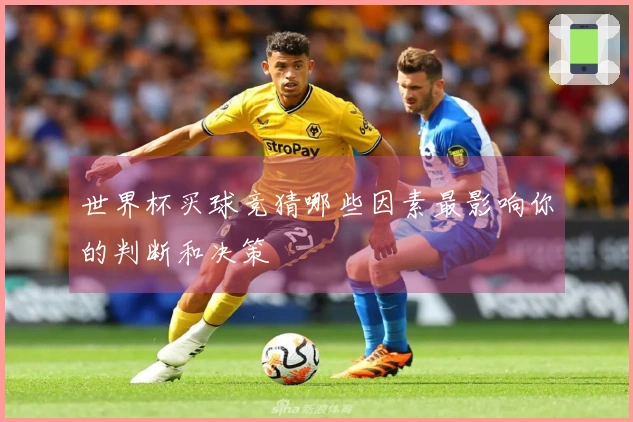 世界杯买球竞猜哪些因素最影响你的判断和决策