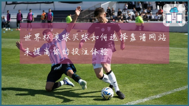 世界杯滚球买球如何选择靠谱网站来提高你的投注体验