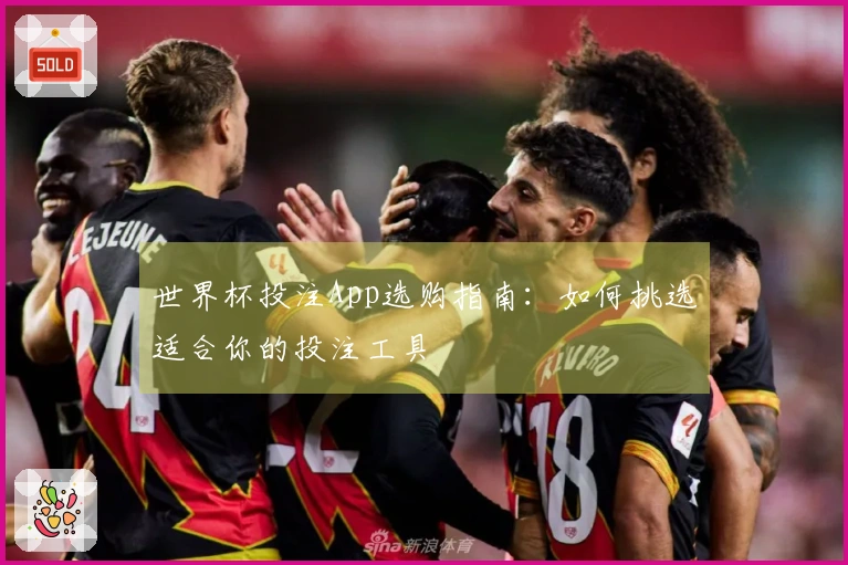 世界杯投注App选购指南：如何挑选适合你的投注工具
