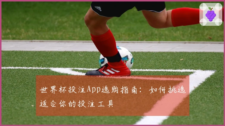 世界杯投注App选购指南：如何挑选适合你的投注工具